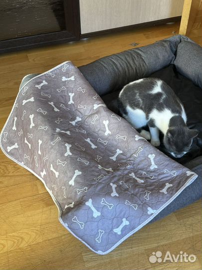 Лежанка для собак средних и крупных пород