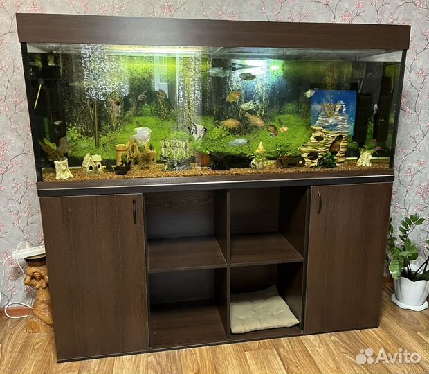 Аквариум 520л