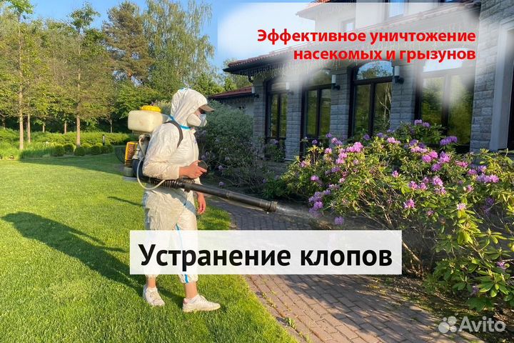 Уничтожение клопов тараканов грызунов грибка плесе
