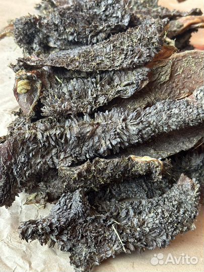 Лакомства для собак