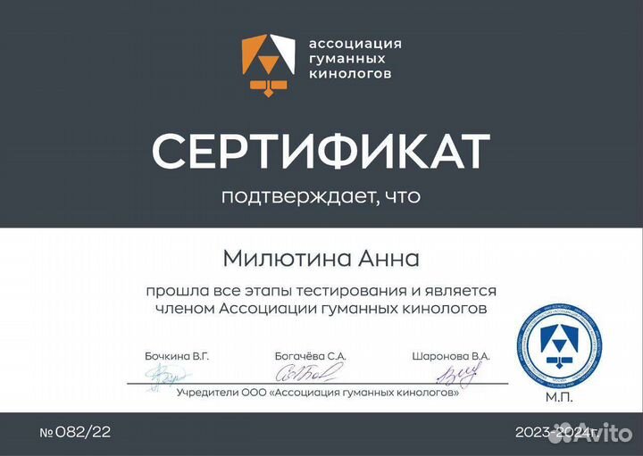 Кинолог. Воспитание собак