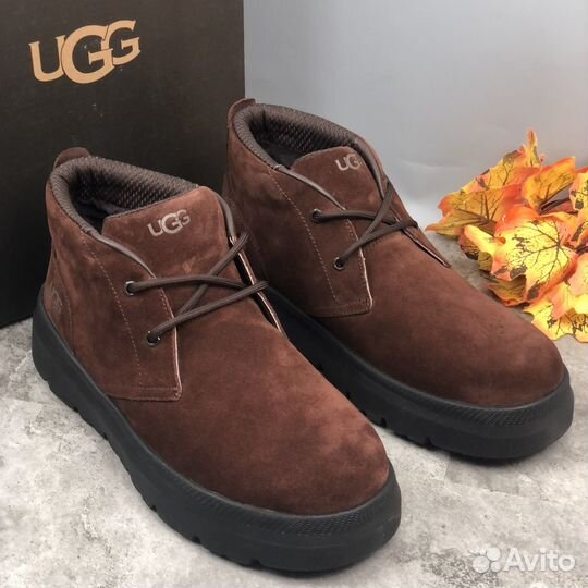 Ugg Mens Burleigh Chukka Dusty Cocoa