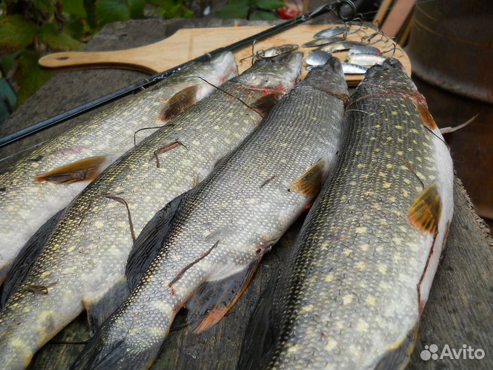 Супер колебалка и вертушка