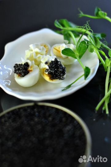 Черная икра