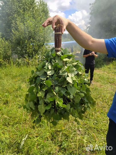 Березовые веники для бани