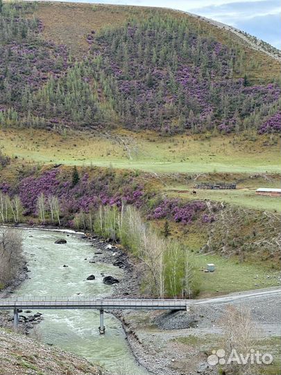 Туры по Горному Алтаю, 6 дней