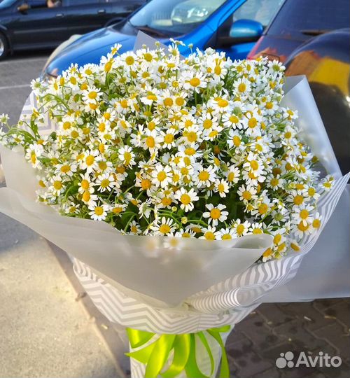 Букет Свежих Ромашек. Доставка/Самовывоз