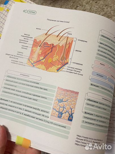 Материалы для подготовки к егэ химия биология