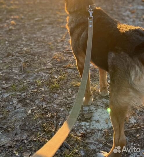 Поводки брезентовые 2, 3, 5 м, чёрные, зелёные