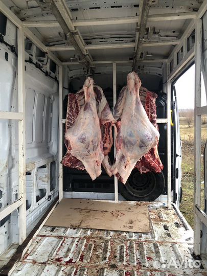 Мясо говядина баранина