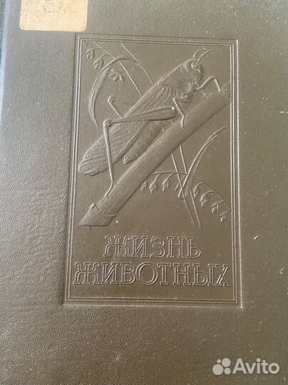 3 книги из Жизни животных по Брему