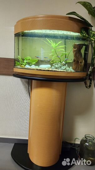 Аквариум с тумбой 50 литров