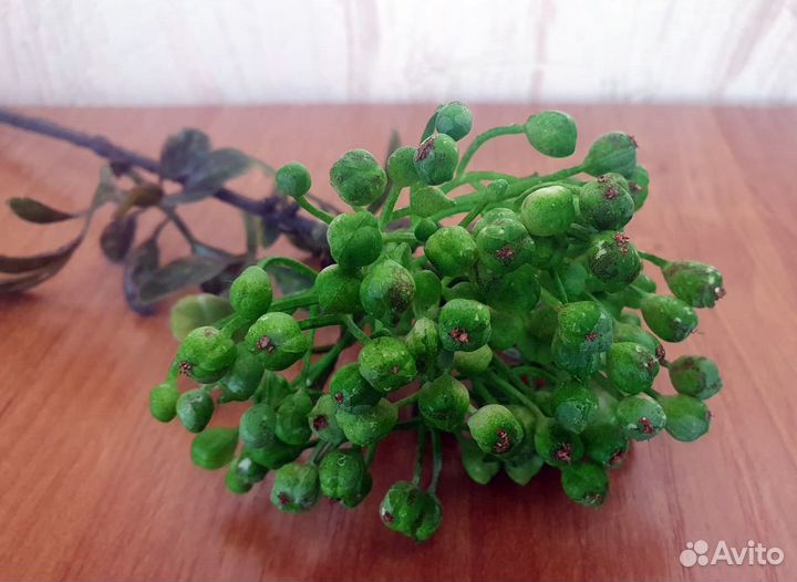 Ягодная ветка