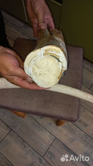 Бивень мамонта