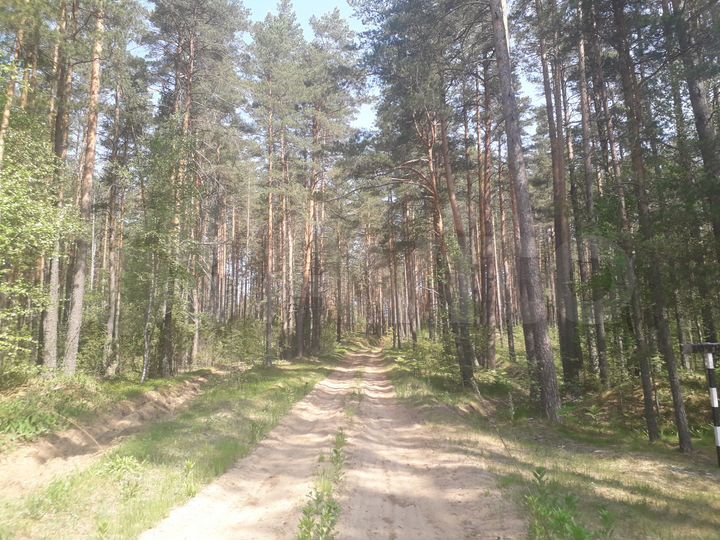 Участок 2,02 га (СНТ, ДНП)