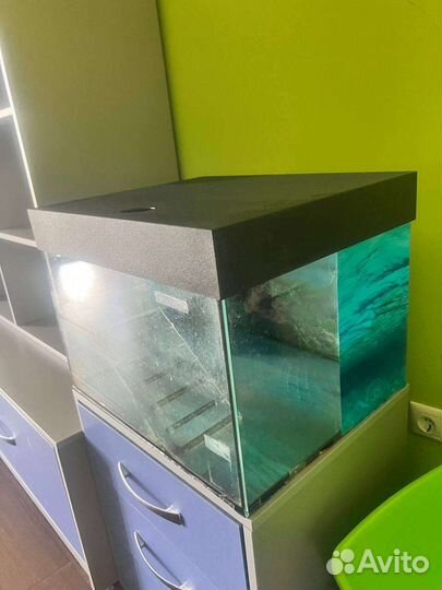 Аквариум для морской черепахи и терариум-переноска