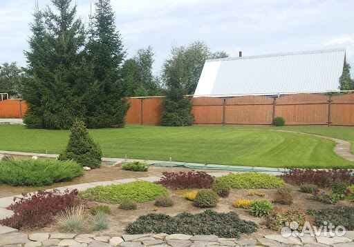 Укладка и продажа газона