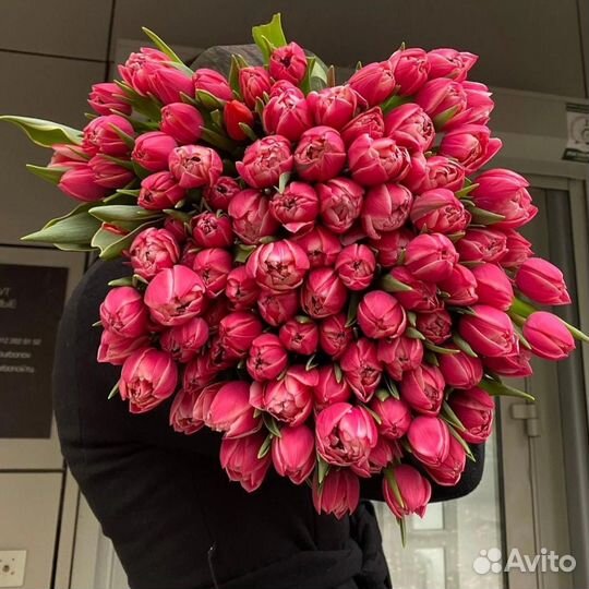 Тюльпаны Моя Весна