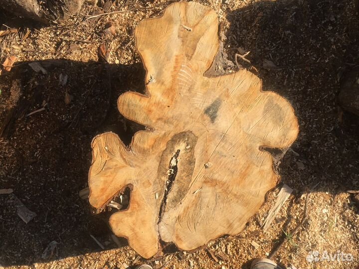 Спилы слебы