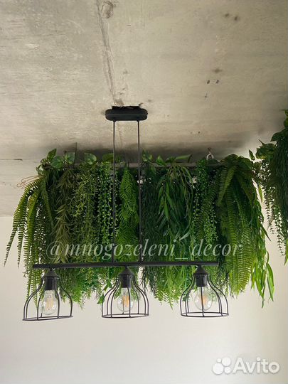 Ампельные (свисающие) растения, подвесные сады