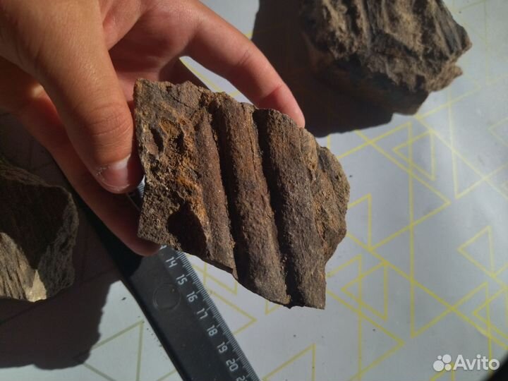 Карбоновая древесина