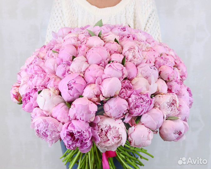 Букет из пионов 15шт., 25шт., 51шт