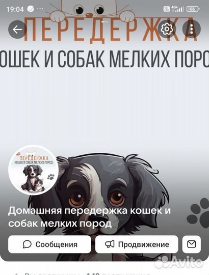 Передержка собак и кошек (гостиница)