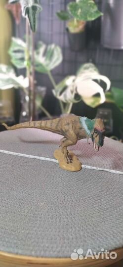 Коллекционные фигурки динозавров collecta