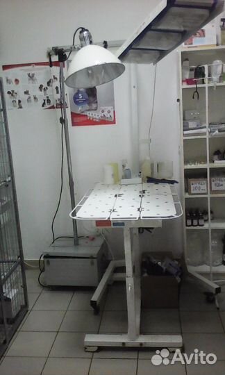 Стерилизация собак и кошек на дому