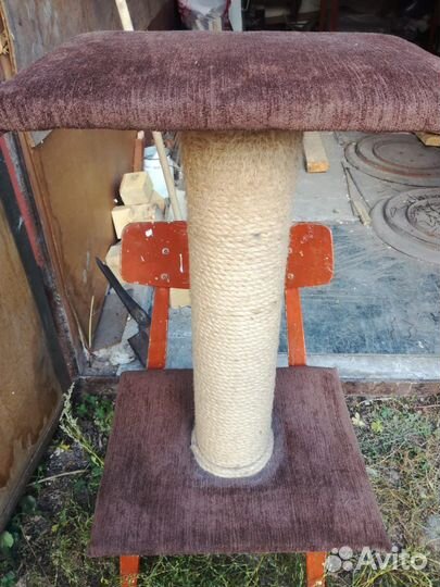 Когтеточка