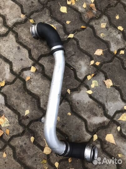 Патрубок интеркулера e53