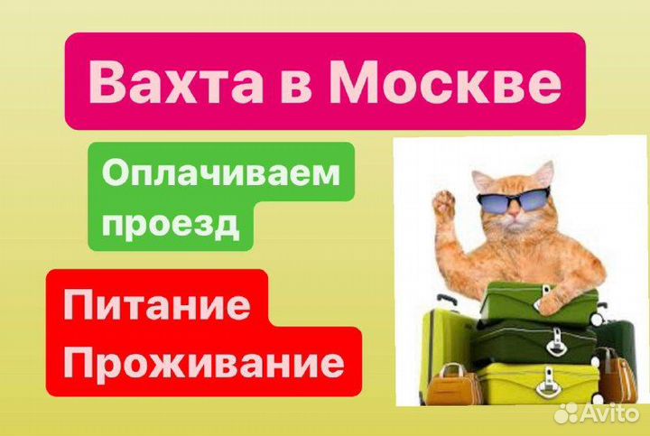Комплектовщики вахта на лето оплатим проезд