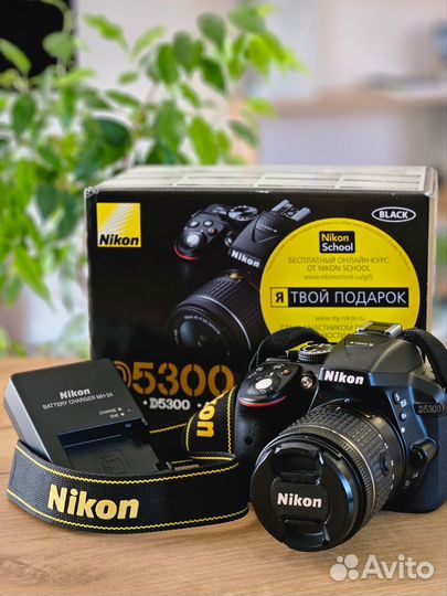 Зеркальный фотоаппарат nikon d5300