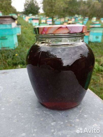 Мед гречишный