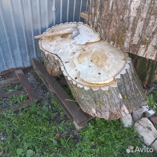 Слэб дерева и спилы