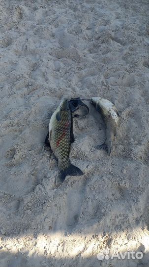 Базы отдыха рыбалка