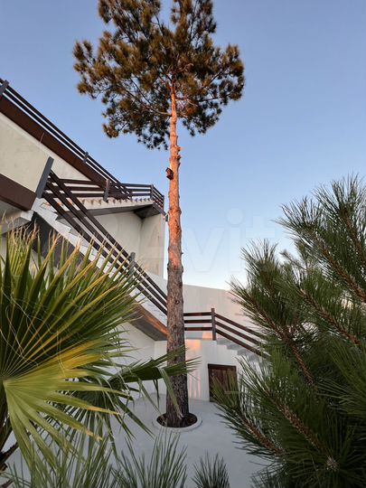 Дом 300 м² на участке 8 сот.