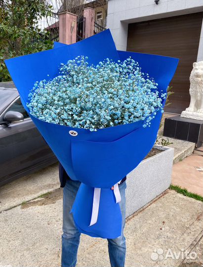 Гипсофила букеты сочи