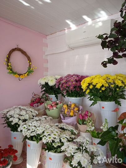 Продам готовый цветочный бизнес