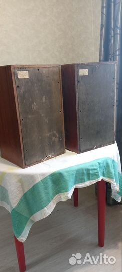 Акустические колонки 25ас-109