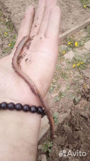 Охота и рыбалка