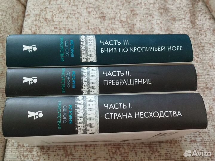 Фурман Александр - История одного присутствия