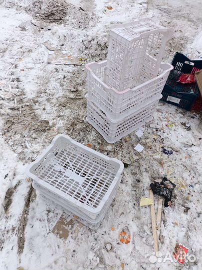 Пластиковые ящики для хранения бу