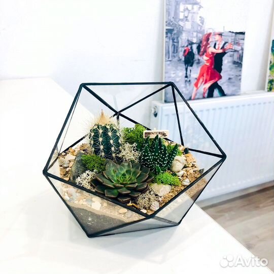 Флорариум с суккулентами