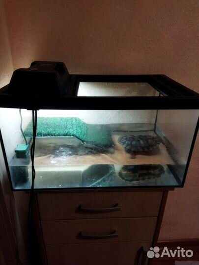 Аквариум-террариум для черепахи 50 литров