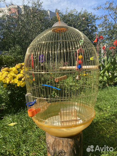 Клетка для попугая бу