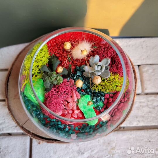 Флорариум с суккулентами (1 литр)