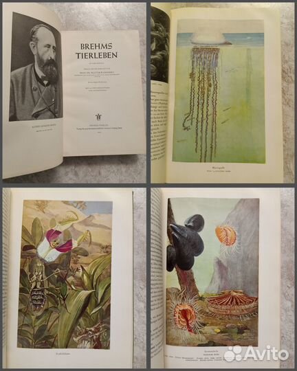 Жизнь животных 4 тома одним лотом