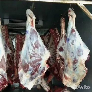 Инвестиция в мясо
