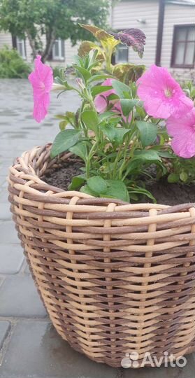 Кашпо горшок для цветов